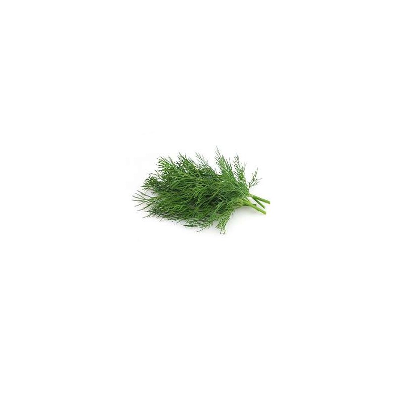 Dill-Per-Bunch