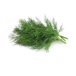 Dill-Per-Bunch