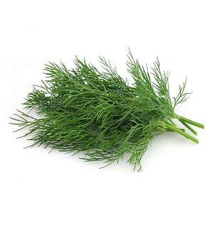 Dill-Per-Bunch