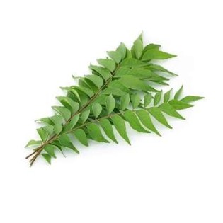 Curry-Leaves-Per-Bunch