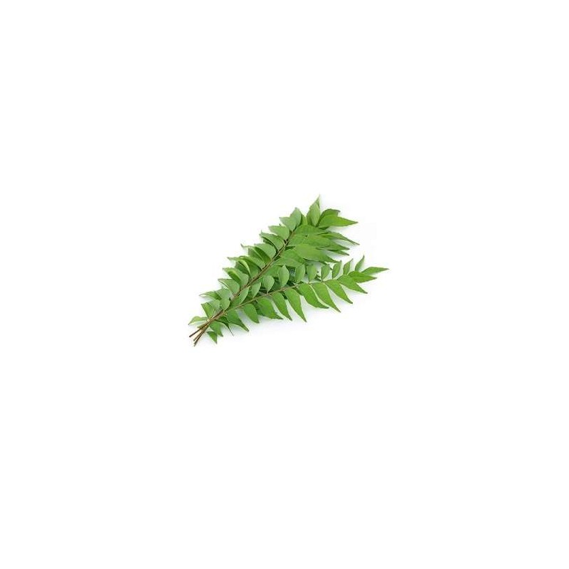 Curry-Leaves-Per-Bunch