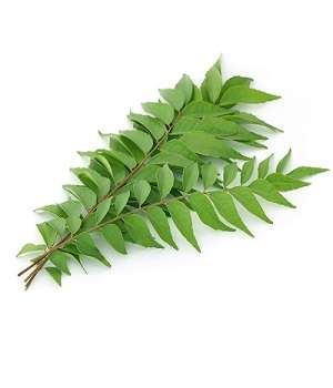 Curry-Leaves-Per-Bunch