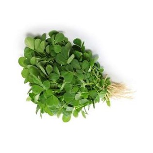 Fenugreek-(Methi)-Per-Bunch