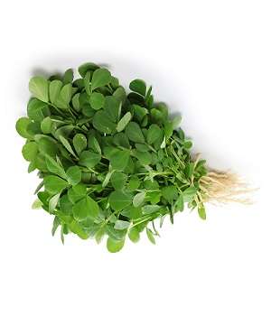 Fenugreek-(Methi)-Per-Bunch