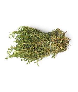 Thyme-Per-Bunch