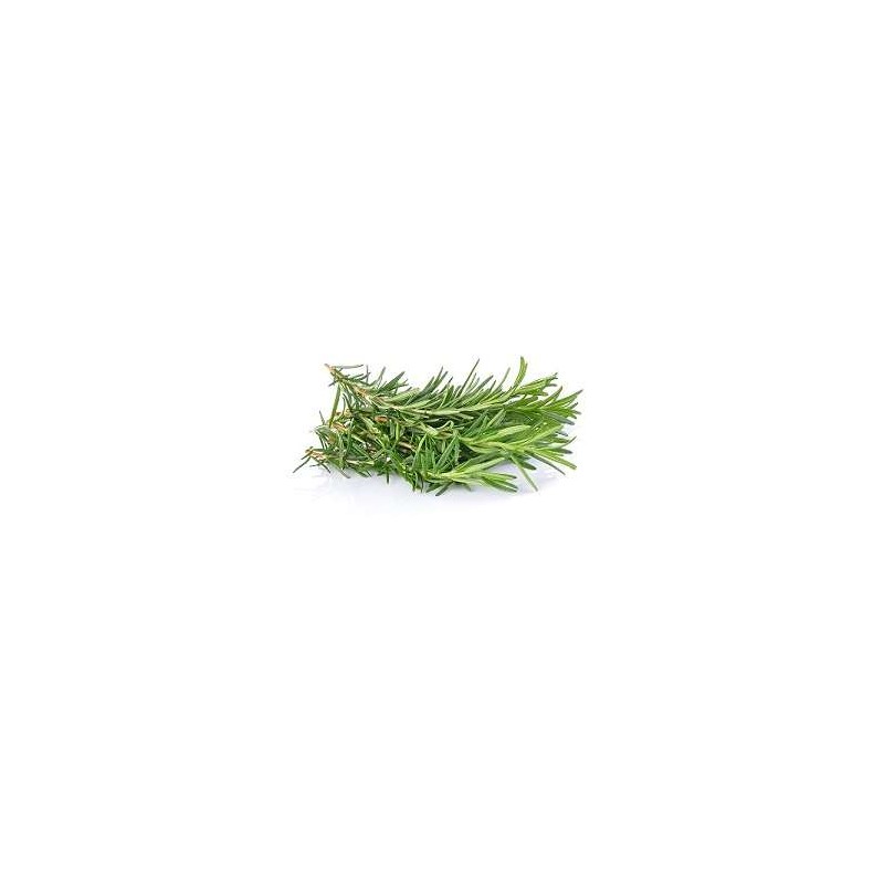 Rosemary-Per-Bunch