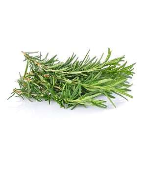 Rosemary-Per-Bunch