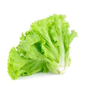 Soft-Lettuce-Per-Bunch