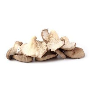 Oyster-Mushrooms-per-pkt