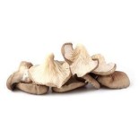 Oyster-Mushrooms-per-pkt