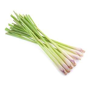 Lemon-Grass-per-bunch