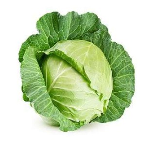 Large Cabbage –  per piece