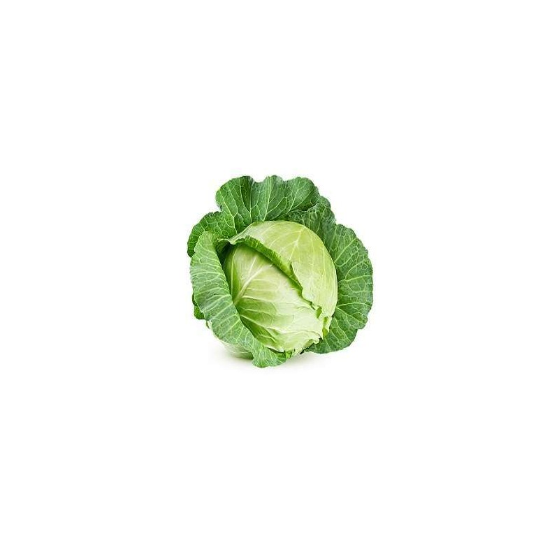 Large-Cabbage-per-piece