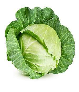 Large-Cabbage-per-piece