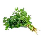 Dhania-(Coriander)-per-bunch