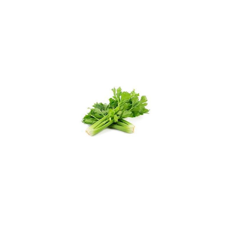 Celery-per-Kg