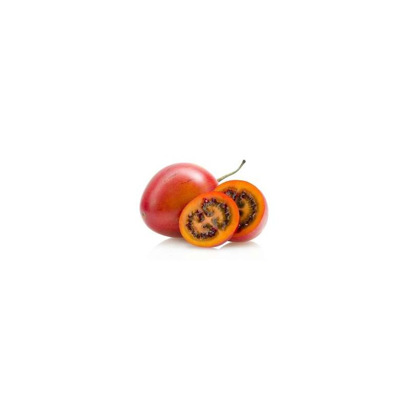 Tree-Tomato-per-Kg