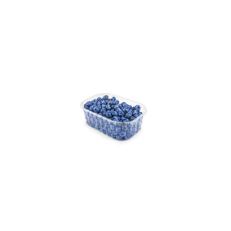 Blueberries-per-Pkt